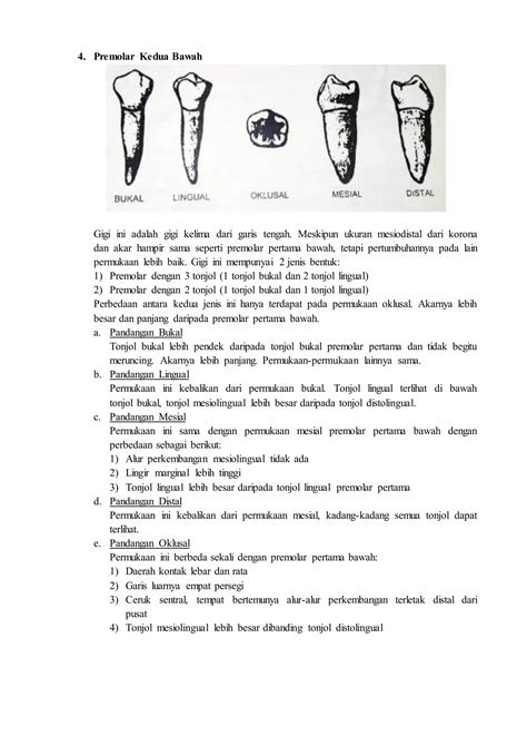 mimpi gigi geraham bawah patah dalam islam 3