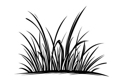 Lawn Clipart Black And White