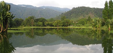 Taiping Lake Gardens, Malaysia