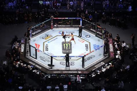 Who Should Be on the Cover of EA’s UFC 6 Videogame?