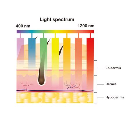 lasertherapy - Leading Manufacturer of Laser Therapy Devices