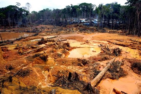 Entenda tudo sobre o aumento no desmatamento da Amazônia