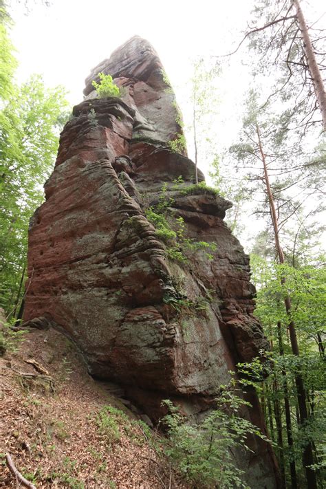 Hauensteiner Turm Felsenheimat Pfalz