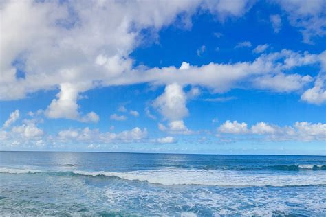 Hawaiʻi Birding Trails | Open Ocean