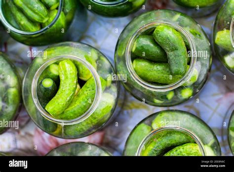 Pickling Cucumber Process Gherkins In Jars Top View Stock Photo Alamy