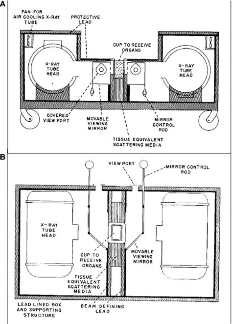 Radiation Exposure X Ray Testicle Psawevietnam