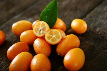 Mandarino Cinese Kumquat L Albero Dei Mandarini Orientali