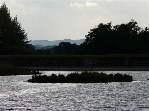 Tring Reservoirs Gallery - The Tring Anglers