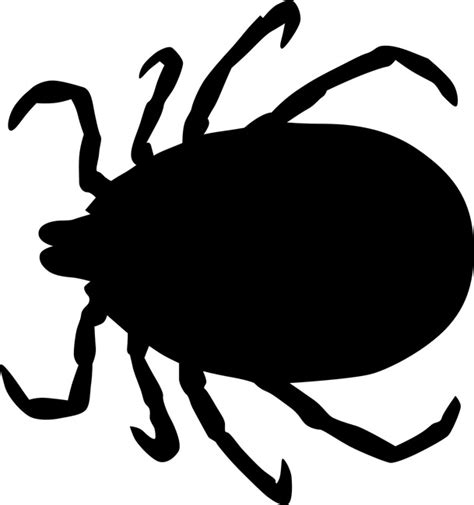 Tick Silhouette at GetDrawings | Free download