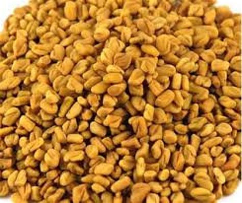 Fenugreek Seeds Methi Dana Indian Organic And Pure Etsy