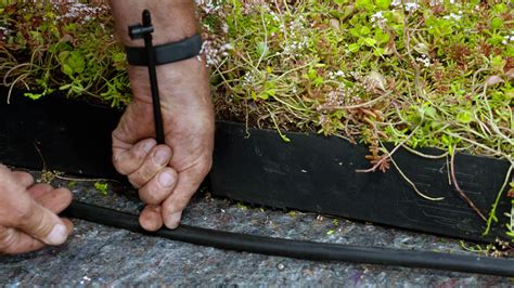 Is Your Green Roof Getting Enough Water Even Though Green Roofs Need