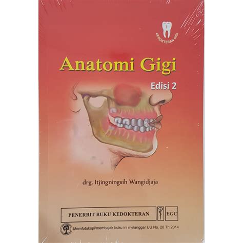 Jual Anatomi Gigi Edisi 2 Itjiningsih ORIGINAL Indonesia Shopee