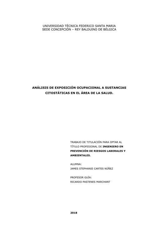 Pdf AnÁlisis De ExposiciÓn Ocupacional A Sustancias Pdfslide Net