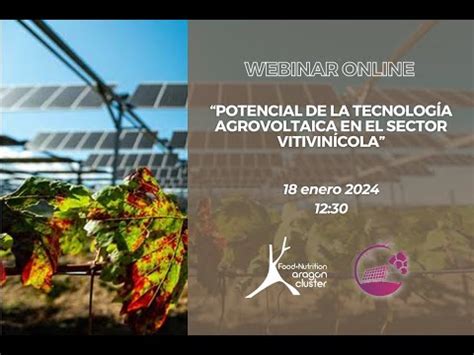 Webinar Proyecto Vidvolt Potencial De La Tecnolog A Agrovoltaica En El