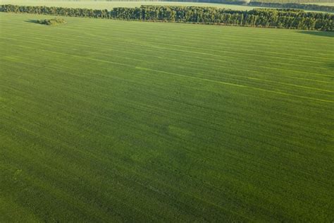 Luftaufnahme Einer Landschaft Auf Feldern Mit Landwirtschaftlichen