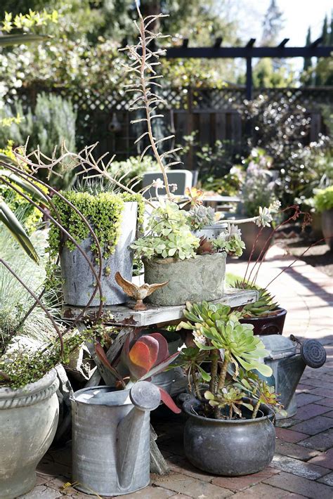 Revive Your Garden How To Bring Your Outdoor Space 13
