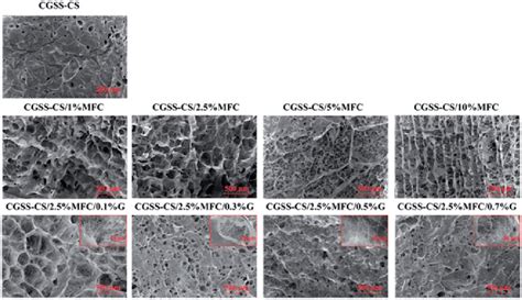 Surface SEM images of the native and composite CGSS collagen sponge ... 