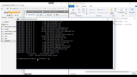 Cómo Importar Una Base De Datos Mysql Desde La Consola