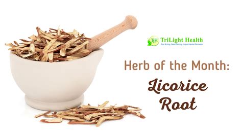 Herb Of The Month Licorice Root Trilight Health