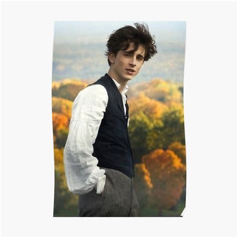 Little Women Laurie Timothé Chalamet – Poster - Canvas Print - Wooden ...