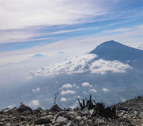 Cerita Pendakian Gunung Sindoro Via Alang Alang Sewu