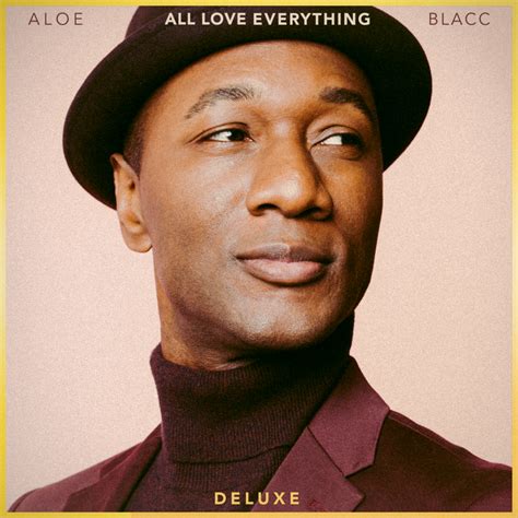 Aloe Blacc The Man Lyrics