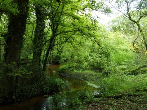 Les outils de préservation des milieux naturels et de la biodiversité