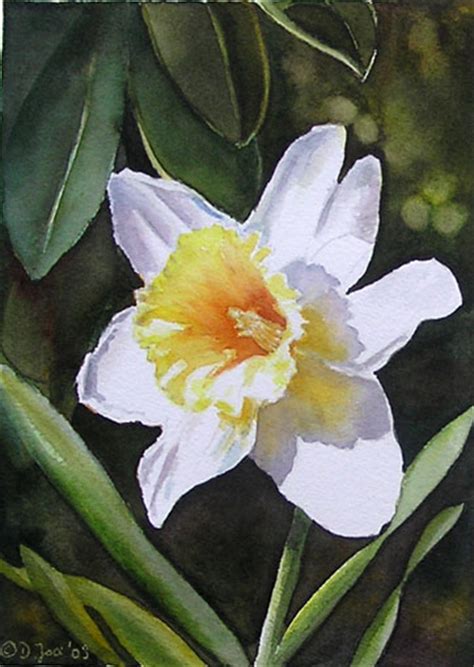 Narcissus Flower Painting at PaintingValley.com | Explore collection of ...