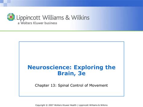 Spinal Control Of Motor Units