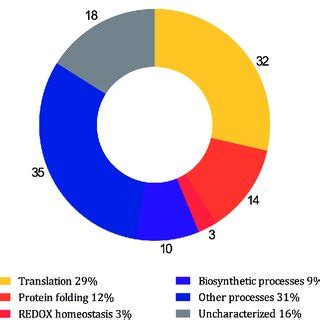 The Proteins Identified By Co Immunoprecipitation And Mass Spectrometry