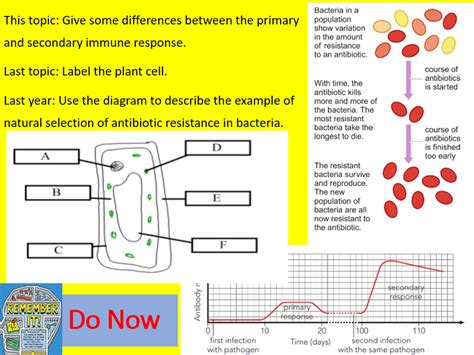 Edexcel Cb5 Sb5 Antibiotics Complete Lesson Gcse Biology Combined Science Teaching Resources