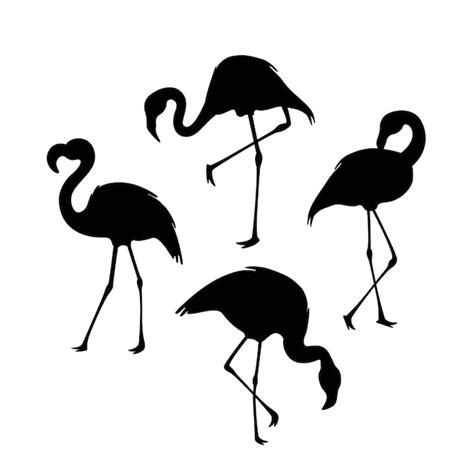 Premium Vector Flamingo Hand Drawn Flat Vector Illustration For