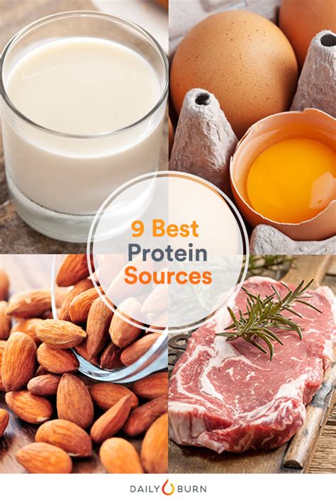 Got Milk? The 9 Best Protein Sources to Build Muscle