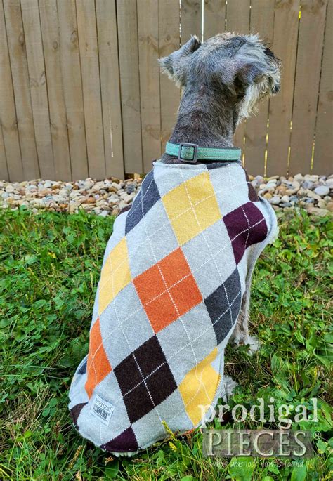 DIY Dog Coat from Upcycled Sweaters - Prodigal Pieces