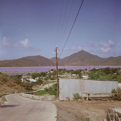 Pond View St Martin Image Collection