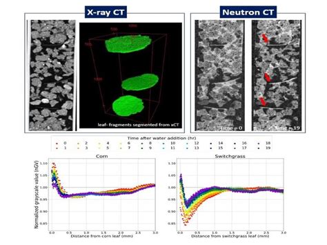 Studying soil microbes to better understand key steps in the carbon cycle