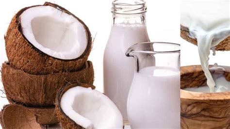 Coconut Milk Recipe - Gennysser.com - Healthy Drinks Recipes