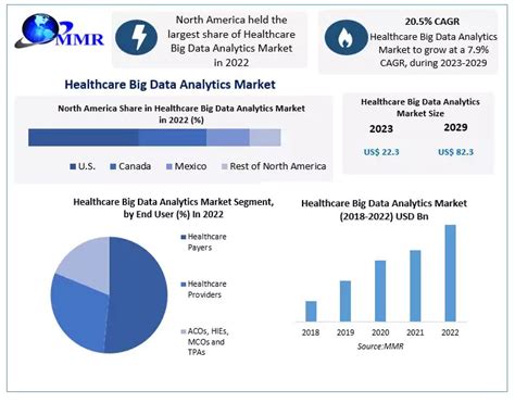 Healthcare Big Data Analytics Market: Global Market Growth by Type