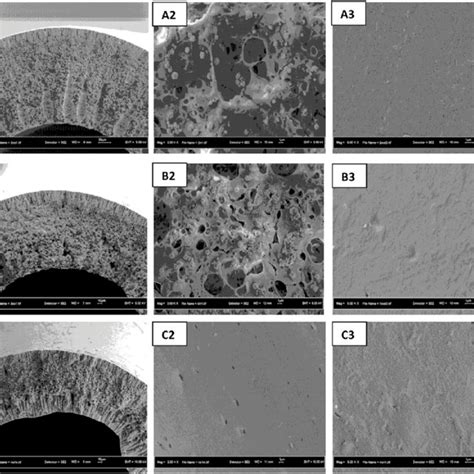 Fesem Morphology Of The Hollow Fiber Membranes A Plain Pvdf B Mmm