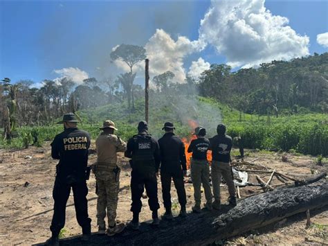 Amazônia Pf Deflagra Operação Contra Crimes Ambientais Em Reserva