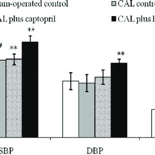 Effects Of Houttuynin On Interstitial Collagen Volume Fraction Icvf