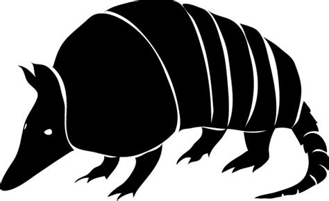 Armadillo Cartoon Pictures - ClipArt Best