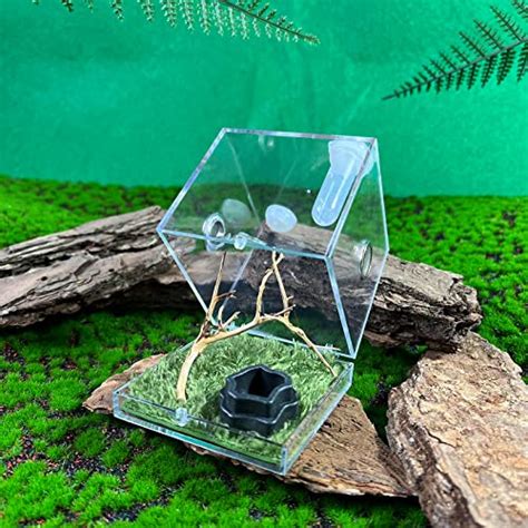 GKPONSX Jumping Spider Enclosure Acrylic Snail SpiderTerrarium Insect