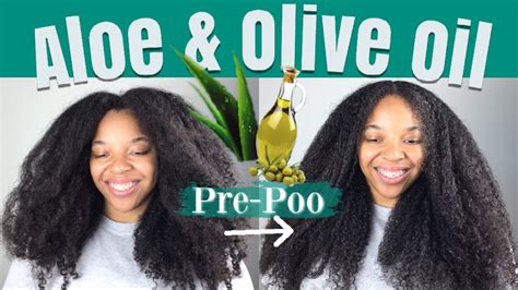 How I Pre Poo My Hair With Aloe Vera And Olive Oil Updated Routine