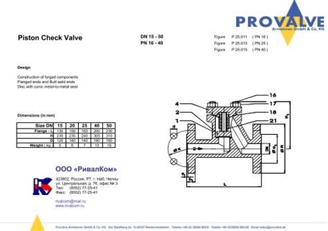 01 DIN Piston Check Valve DN15 DN50 PN16 PN25 PN40 P25 011