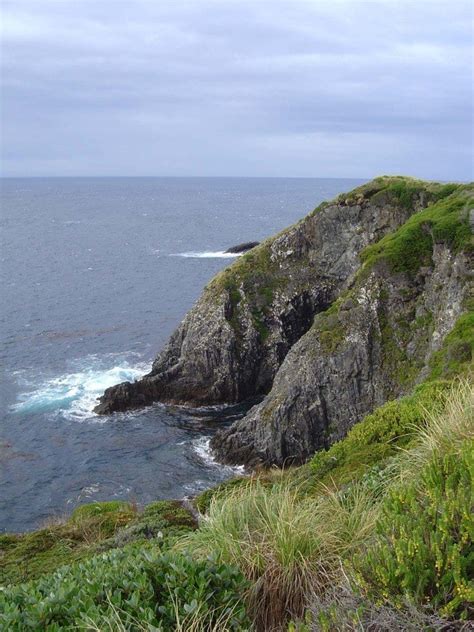 Sailing Around Cape Horn Ocean Expeditions