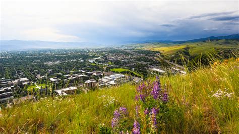 Missoula From Mount Sentinel Montana Stock Photo Download Image Now