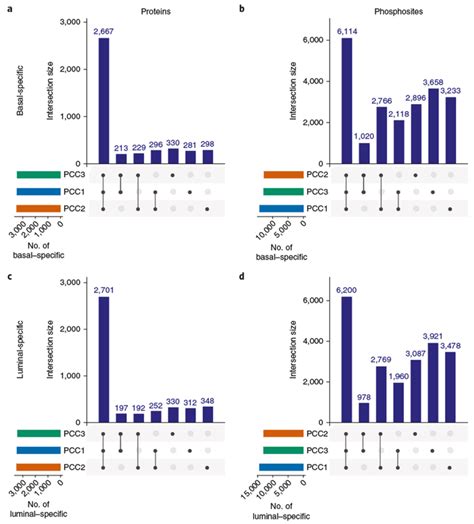 Reproducible Workflow For Multiplexed Deep Scale Proteome And