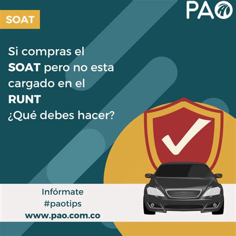 Si El Soat No Esta Cargado En El Runt Pao Tu Aliada En Trámites De