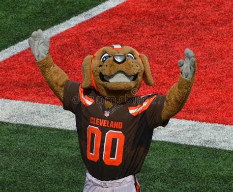 Chomps NFL Mascot the Cleveland Browns Editorial Photography - Image of ...